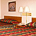 Iron Horse Inn - hotel quality at motel rates - Excellent value lodging year-round, w/covered access parking for cars & bikes. Close to Spearfish, Bear Butte Park and Sturgis. Dining & stores close by.