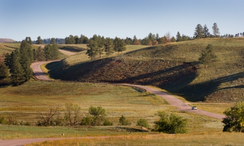 Custer State Park Black Hills