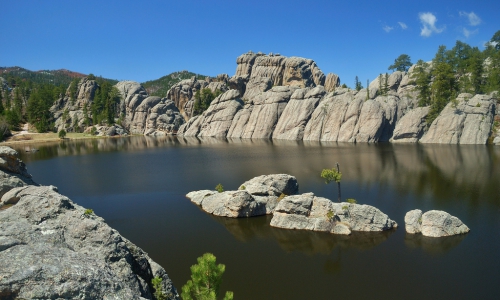 Custer State Park in South Dakota