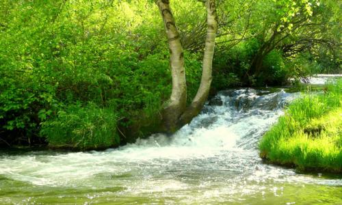 Roughlock Falls Spearfish Canyon