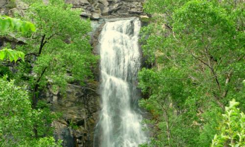 Black Hills Roughlock Falls