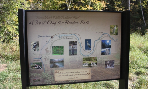 Hiking Trai to Roughlock Falls in the Black Hills