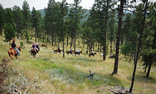 Horseback Riding Black Hills