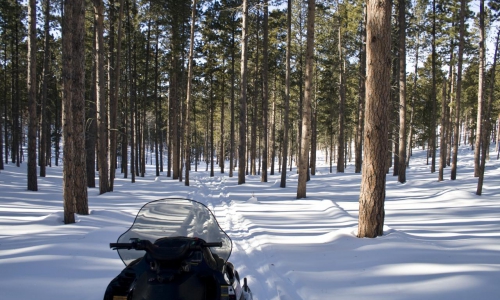 Black Hills Snowmobiling