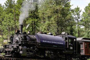 Historic 1880 Steam Train Journey