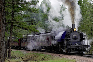 Classic 1880 Steam Locomotive Ride