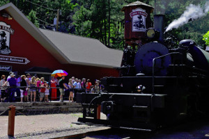 Vintage 1880 Steam Train Adventure
