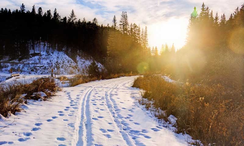 Cross Country Skiing on the Mickelson Trail in the Black Hills