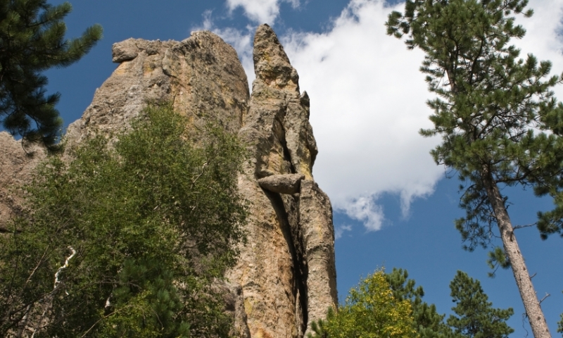 Cathedral Spires in Black Hills National Forest