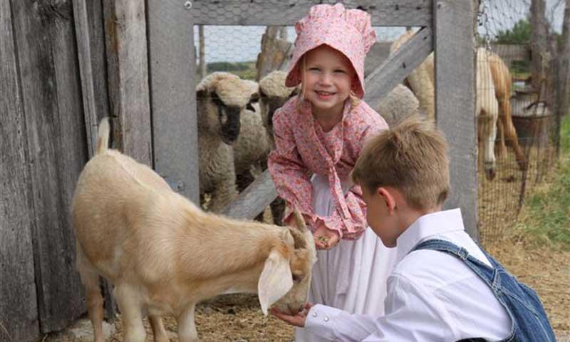 Prairie Homestead in Badlands National Park