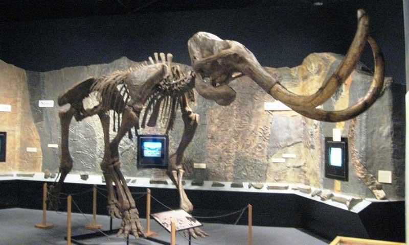 The Journey Museum in Rapid City