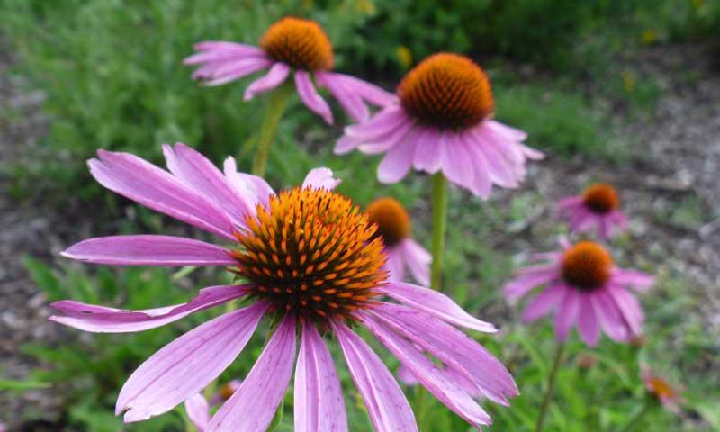 The Journey Museum in Rapid City