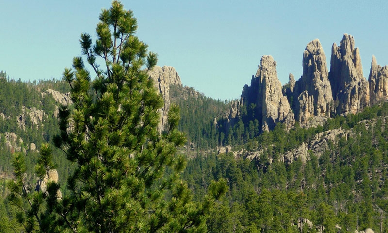 Needles Highway in the Black Hills
