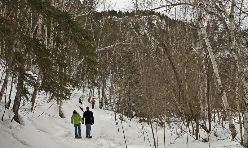 Black Hills Snowshoe Trails
