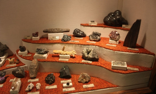 Museum of Geology