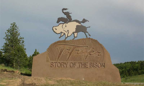 Tatanka Story of the Bison