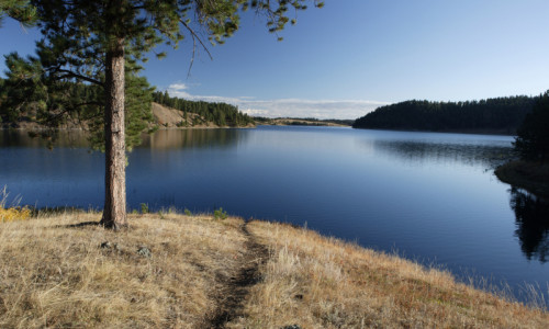 Black Hills National Forest