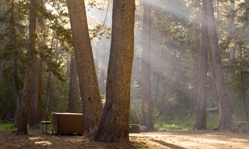 Camping / Campgrounds