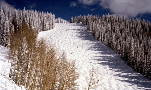 Skiing