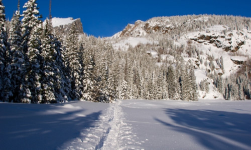 Snowshoeing